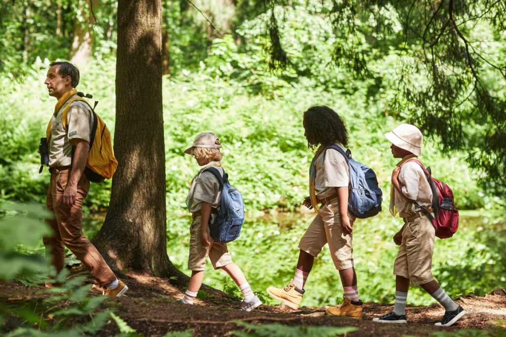 Adult and children hiking through sunny green fore